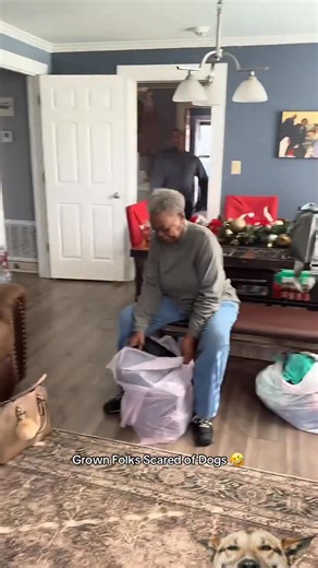 Toddy Nachelle on Instagram: "That one friend that’s terrified of dogs! 🤣😅😩 #funny #funnyvideo #funnydogs #dogs #scaredofdogs"