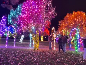 117K views · 3.4K reactions | The lights came on tonight for the first time this season at the Winter Spirit display at Locomotive Park in downtown Lewiston. (Liesbeth Powers/Moscow-Pullman Daily News) | Lewiston Tribune | Facebook