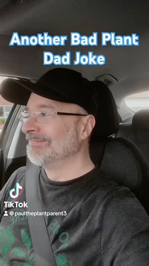 Plant Dad Joke - The PB cookie & the Smoothie. #dadjokes #notfunny #laugh #dumbjokes #plants