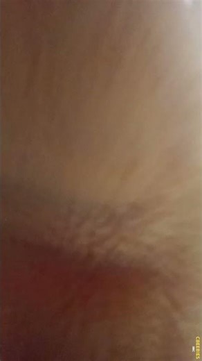 AOSMAUHHU BOT 2 (2017) BBC CBEEBIES (2024)