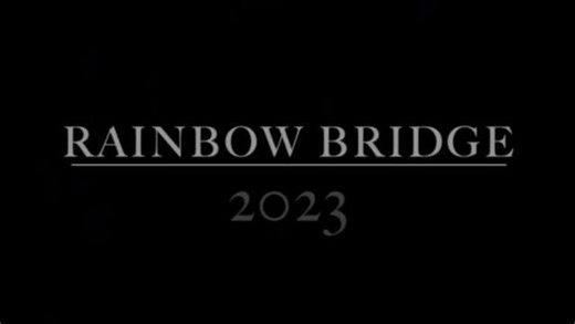 As we approach the end of 2023, we wish to take a moment to pay tribute to all the wonderful cats that have crossed over the rainbow bridge this year. We feel privileged to have provided them with the love and care they deserved, even if their time with us was brief. We are grateful for the opportunity to share their sweet souls with all of you and for the love and support you have shown us here at Blind Cat Rescue. We want to express our heartfelt thanks to all those amazing people who have hel