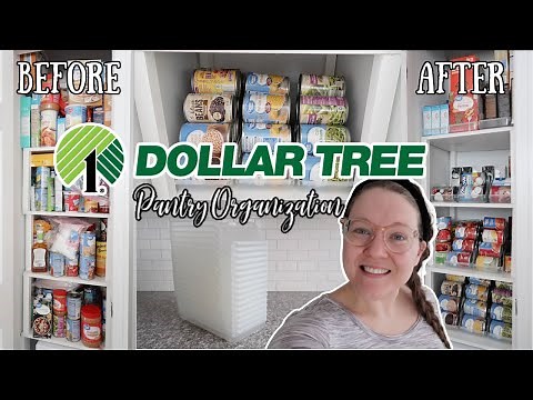 DOLLAR TREE PANTRY ORGANIZATION | SODA CAN ORGANIZERS | BUDGET ORGANIZATION | FEBRUARY 2021!