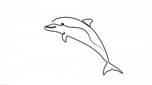 Dolphin Continuous Line Art Animation Animated Stock Footage Video (100% Royalty-free) 3610877079 | Shutterstock