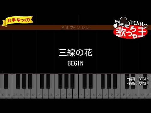 【簡単ピアノ】三線の花 / BEGIN【初心者・練習用】