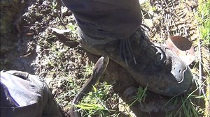 784K views · 6.9K reactions | WHEN A WILD 6 FOOT TAIPAN IS AT YOUR...