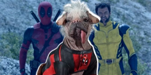 Ryan Reynolds Celebrates Deadpool & Wolverine's Dogpool