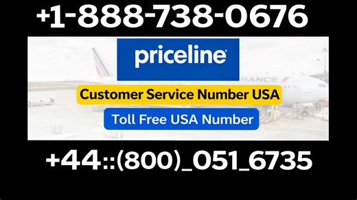 Priceline®】Customer Service [Complete Guide] to Live Chat, Email & Calls Support Step by Step Guide