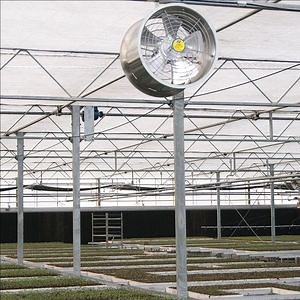 [Hot Item] Greenhouse Circulation Fan Ceiling Mount Air Circulation Fan Agriculture Greenhouse