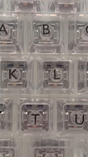 I Left for 1 Minute… and THIS Happened 😳