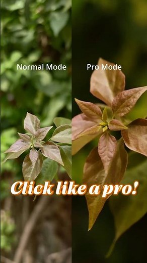 Camera Pro Mode Tutorial📸| Mobile Camera Tricks👍| Pro Mode Pictures #promode #smartphonecameras