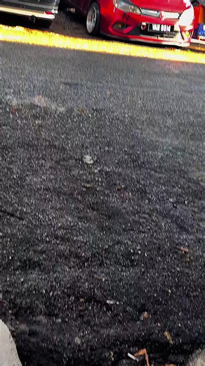 Unity Among Afghan Ethnic Groups