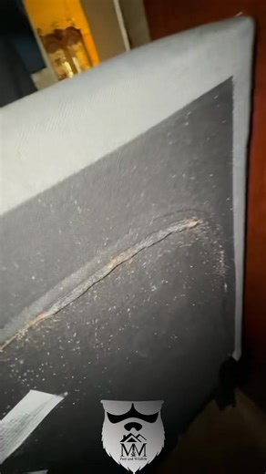 M&M Pest and Wildlife on Reels | Facebook