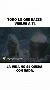 1.9M views · 33K reactions | Asi sea la acción más pequeña y desinteresada.. todo vuelve como un bumeran. En el baiben del camino.. procura esparcir flores... quizás te toque volver descalzo.. #rayodeaurora #terrier #camino | Rayo de Aurora | Facebook