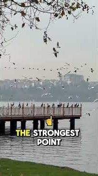 A stunning sea view and a profitable investment