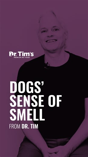 Today we’re kicking off a new Dr. Tim Talks video series about your pet’s five senses. You’ve probably recognized that their sense of smell is more powerful than yours is... But why? We hope you enjoy Dr. Tim’s insight on your dog’s sense of smell — stay tuned for his humor at the end! . . #FueledByDrTims #DogsSenseofSmell #VetRecommended | Dr. Tim's Pet Food Company, LLC