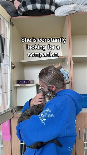 Give Pepper Ann a Chance: Adopt a Senior Cat