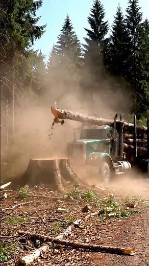 Logging Truck Smashes Stump, Tree Explodes in Forest Crash!