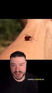 Why You Flex When A Mosquito Bites You ☠️ | IdkSterling