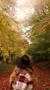 Coming soon… 🍂🧡 | alexrainbirdMusic