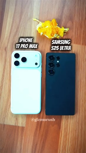 Samsung S25 Ultra vs iPhone 17 Pro Max: Macro Photography Comparison