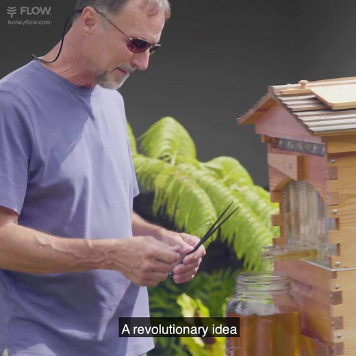 Revolutionary Honey Harvesting with Flow Hive in Hawaii