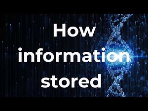 What Makes DNA The Most Amazing Code In The Universe?