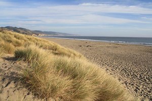 Fall Splendor Along Limantour Beach