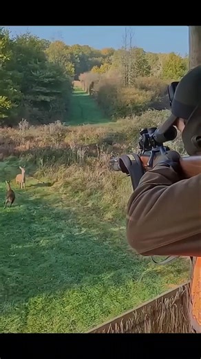 🦌 The Gun Fired Itself When the Deer Came! #deerhunt #hunterlife #wildlifevideo #deer #naturel