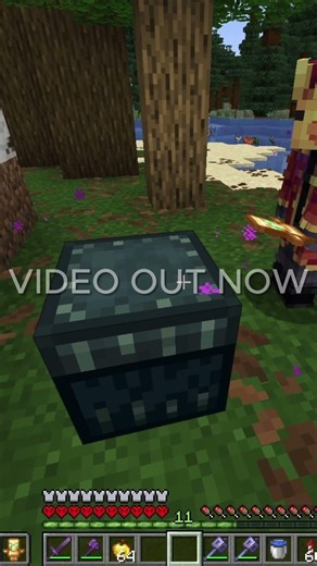 don't u hate it when birds just keep squawking #minecraft #minecraftsmp