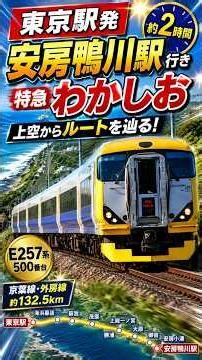 【前面展望風】東京駅から安房鴨川駅まで特急わかしおで走る！京葉線・外房線を上空から辿る【Google Earth】