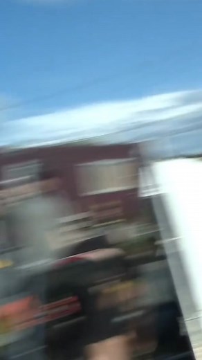 Outdoor Social Gathering: Fun in the Sun