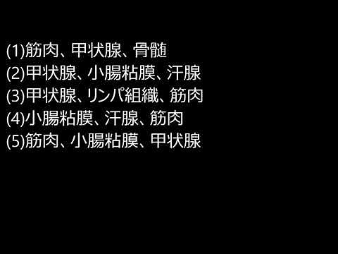 ガンマ線透過写真撮影作業主任者