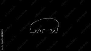 white linear Hippo silhouette. the picture appears and disappears on a black background.
