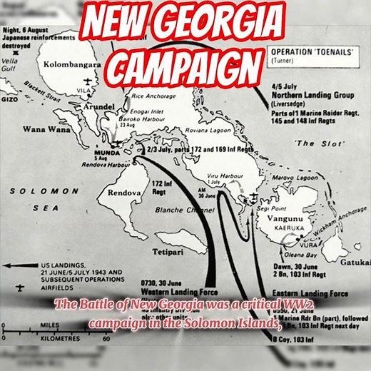 New Georgia Campaign #ww2history #history #shorts