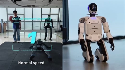 这个机器人摔倒了……然后又爬了起来，就像什么都没发生过一样。 你会相信一台永不停止的机器吗？