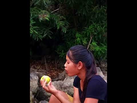 Jungle Survival Cooking Fresh Clams Over Fire