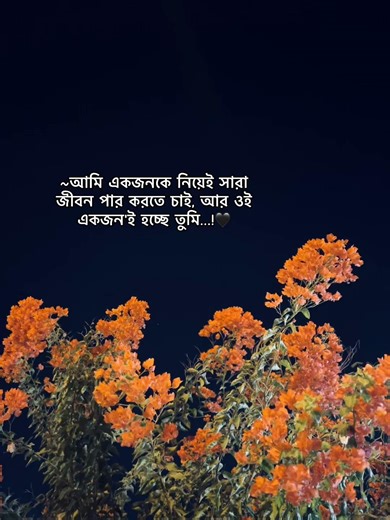 فيديوهات أنشأها 🕊️~ মৃত ~🕊️ (@broken__7799) باستخدام original sound - 𝗧𝗔𝗪𝗙𝗜𝗤🕊️🫶🏻