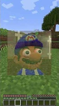 Hiding as a GRASS BLOCK!