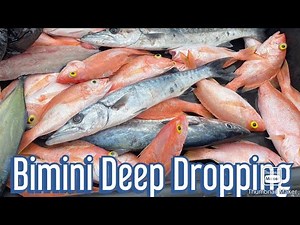 Bimini Deep Dropping Fishing