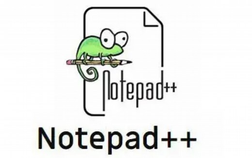 教你下载Notepad  ，非通过打不开的官网