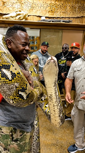 Giant constrictor python proves human strength is no match for muscle