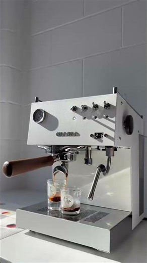 Ascaso Iced Tea espresso maker