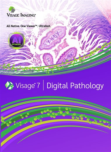 Visage 7 | Digital Pathology