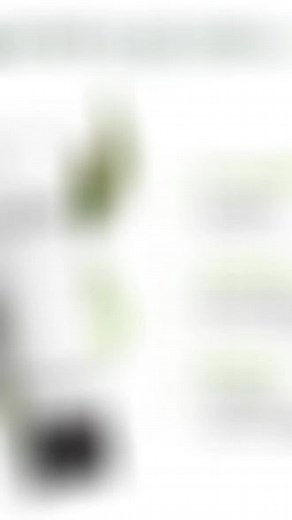 7093811751493422343