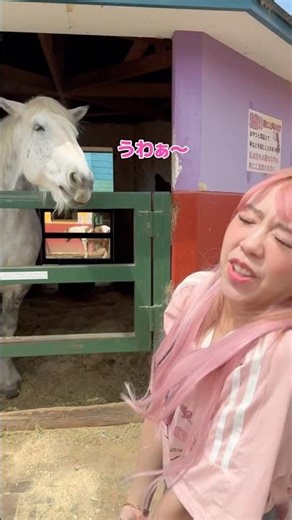 A woman who hates animals visits a farm #shorts