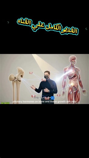 وظائف الغده النخاميه