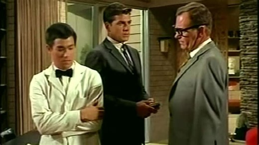 10. The Preying Mantis