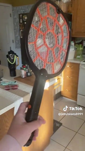 Electric Fly Swatter Zapper: The Ultimate Insect Solution