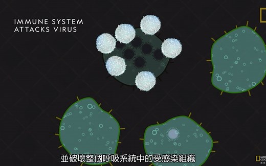 流感病毒-科普视频