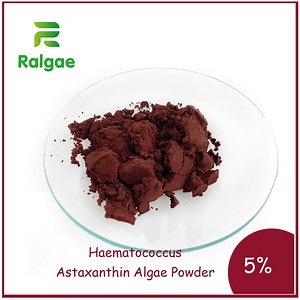 [Hot Item] Natural Microalgae Astaxanthin Powder High Quality Astaxanthin for Nutrition Supplements